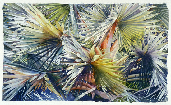 Sanibel Watercolor Art reproduced as archival pigment print