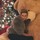 sinead_condon