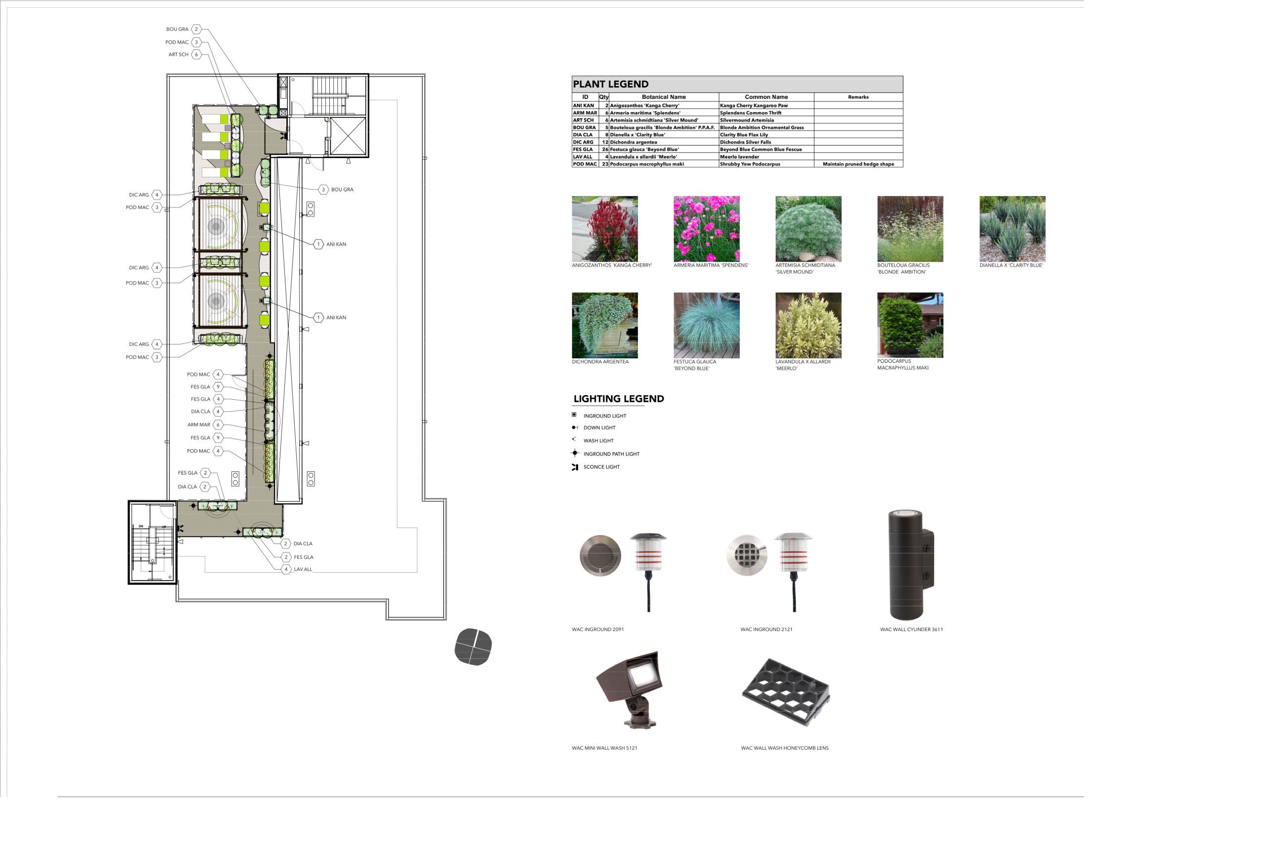 Rooftop Deck: Planting and Lighting Concept Plan