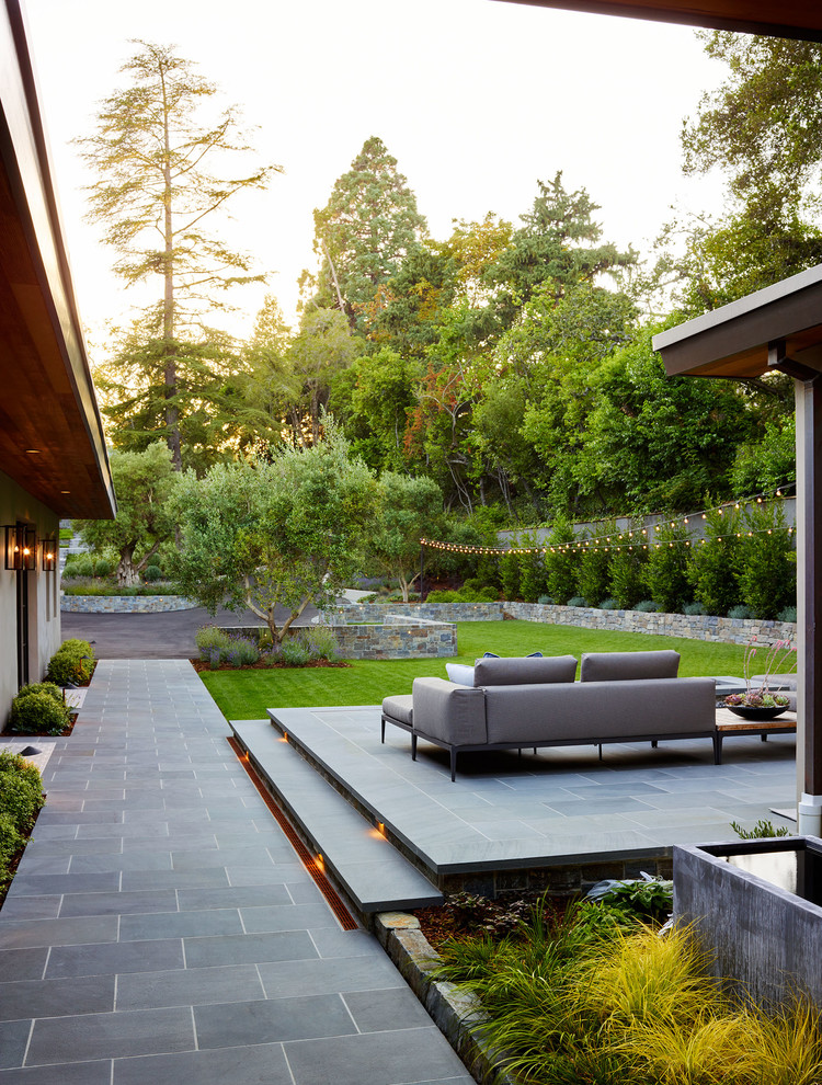 Photo of a large contemporary front yard patio in San Francisco with tile and no cover.