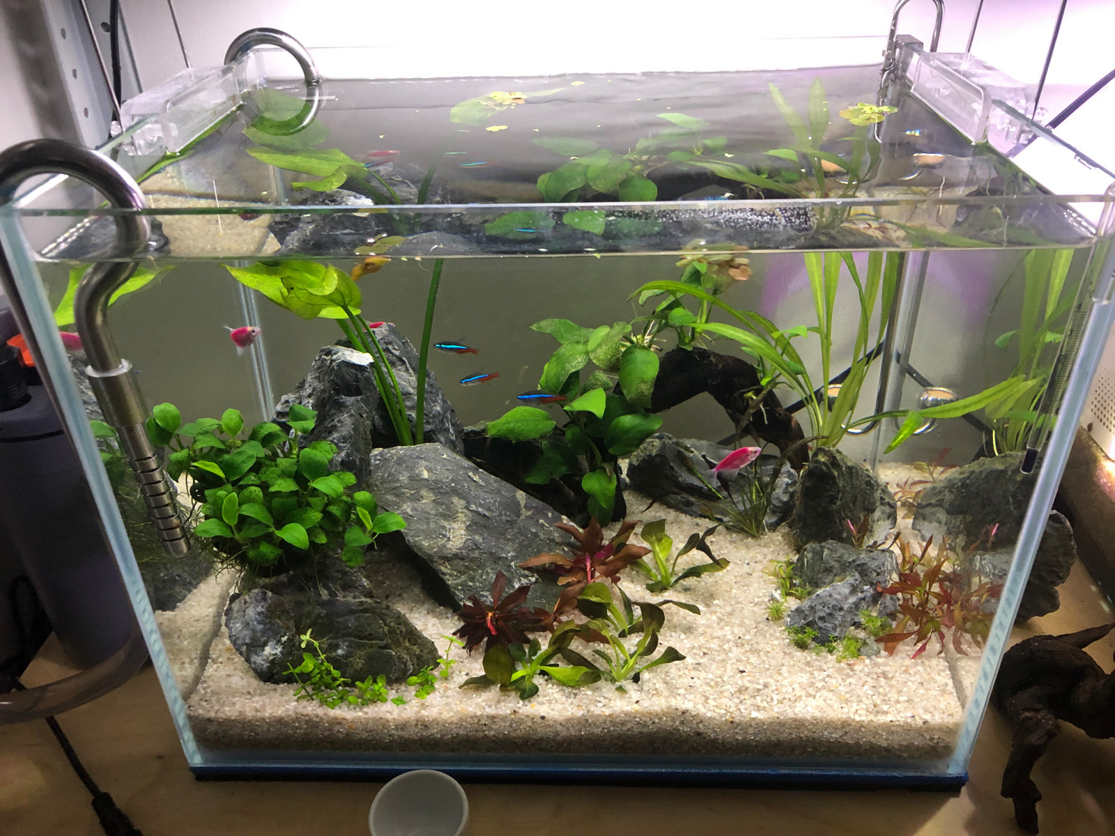 Акваскейп "Кубик" аквариум