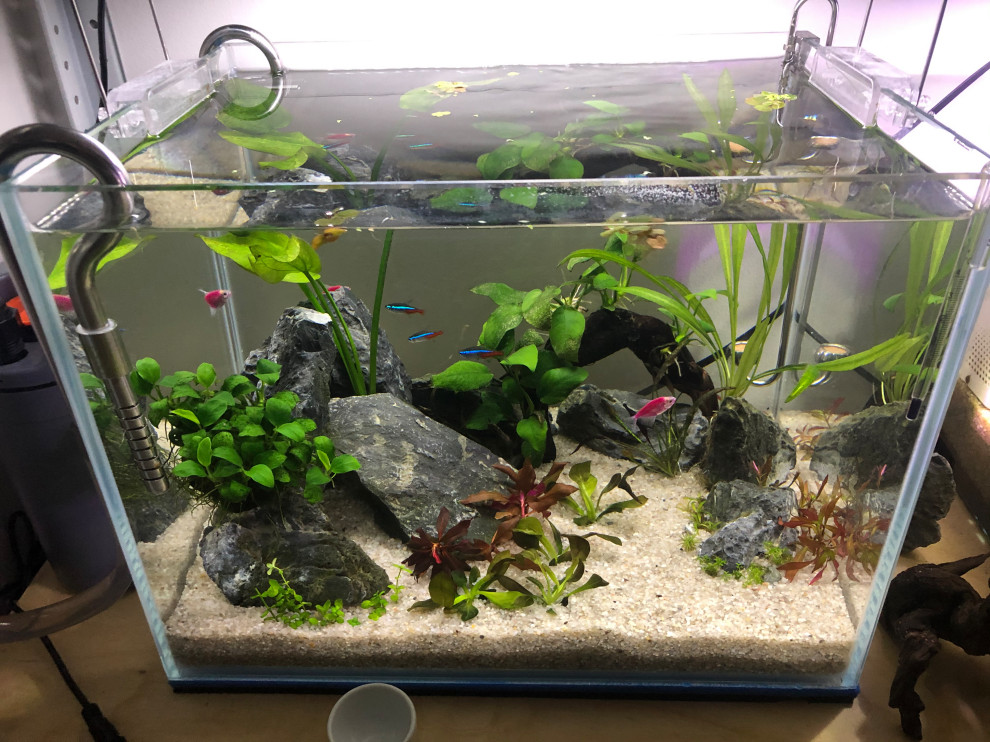 Акваскейп "Кубик" аквариум