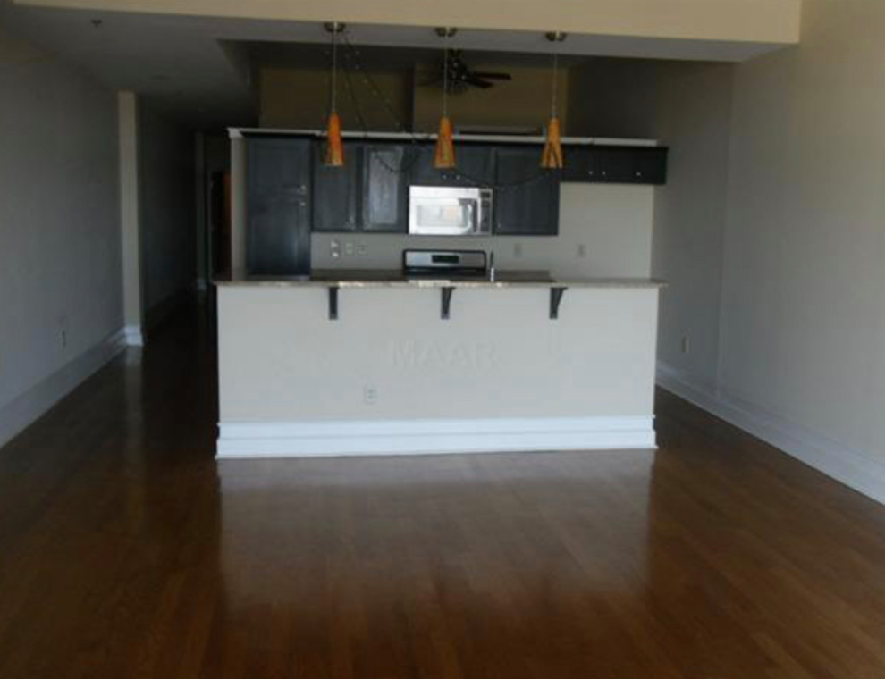 Kitchen Remodel - Condo - Downtown Memphis, TN