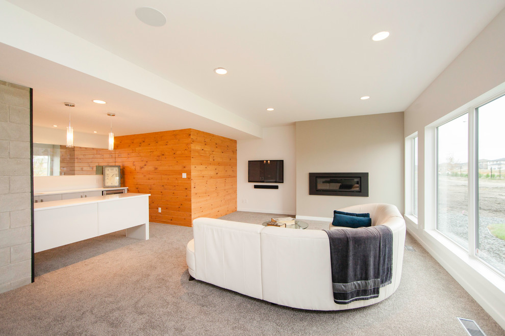 Large contemporary look-out basement in Other with white walls, carpet, a ribbon fireplace and a metal fireplace surround.