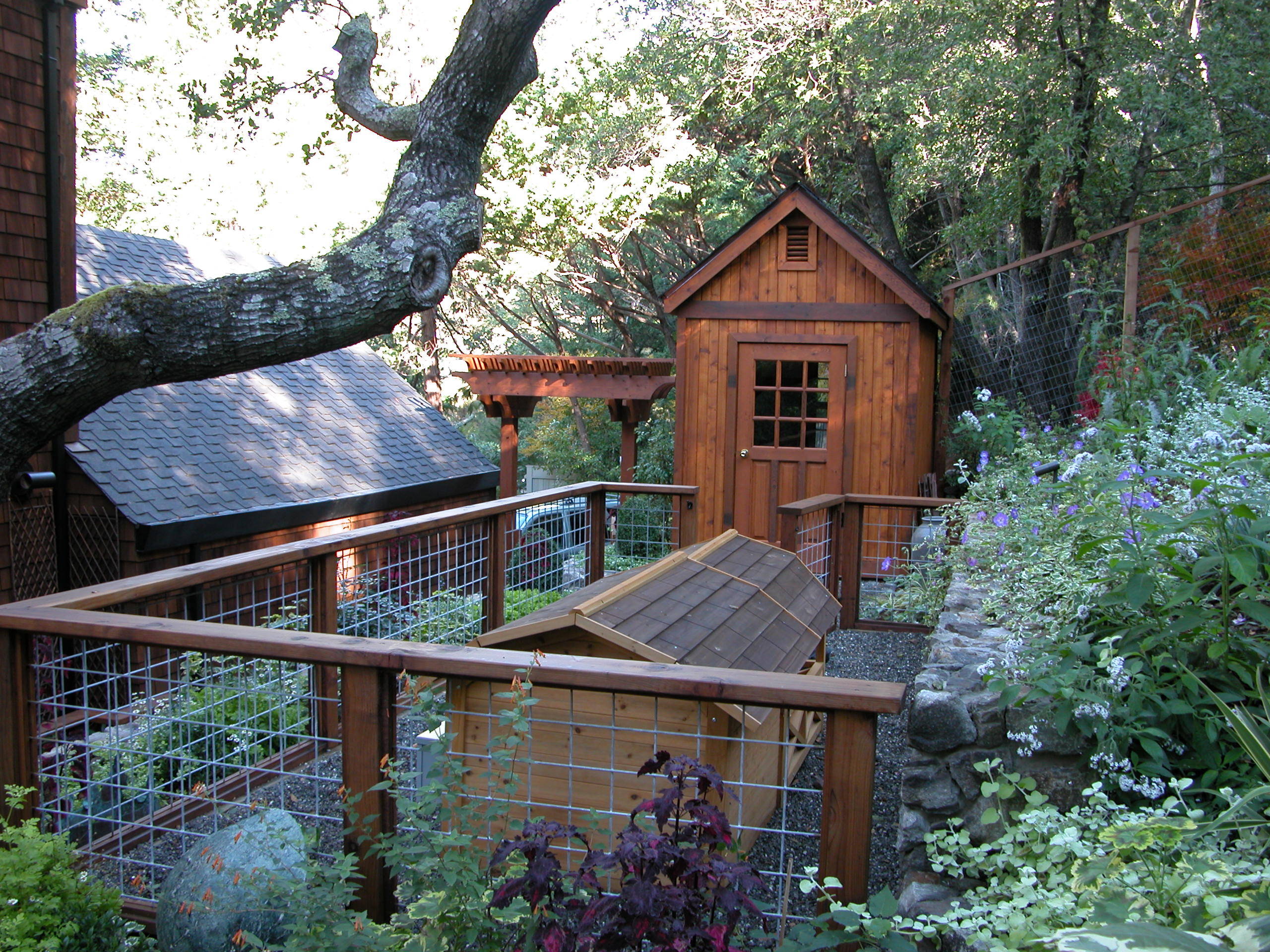 Dog run fencing ideas outlet