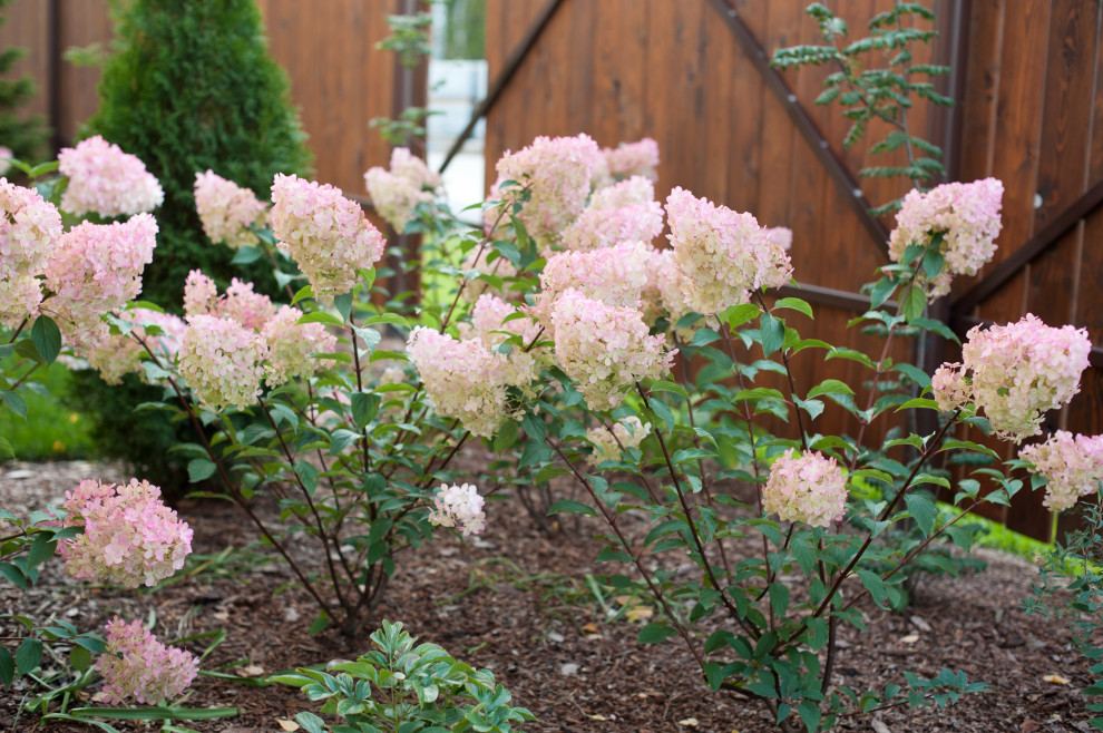 Сад Лабиринт