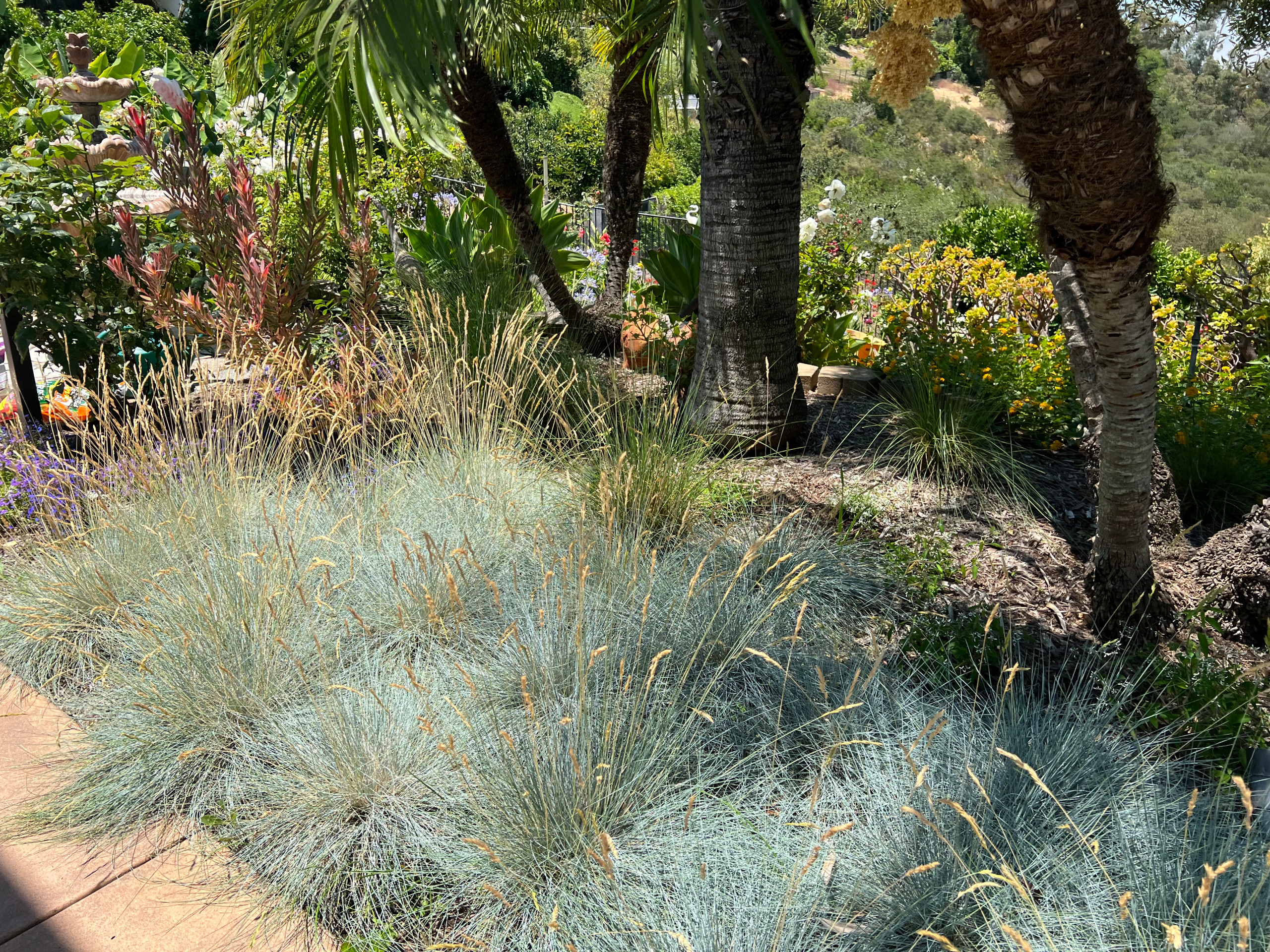 Rancho Santa Fe retreat