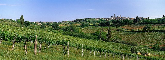 Vineyards And Medieval Tuscany Italy Wallpaper Wall Mural Self Adhesive Contemporary Vineyards And Medieval Tuscany Italy Wallpaper Wall Mural Self Adhesive Contemporary