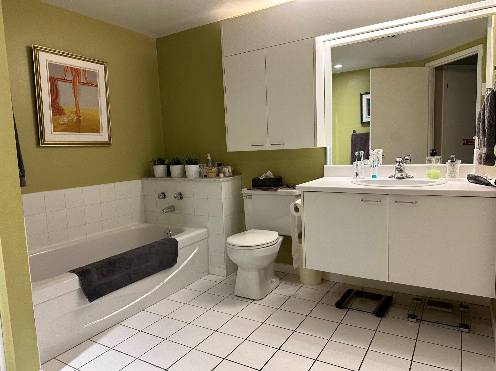Condo Bathroom Update