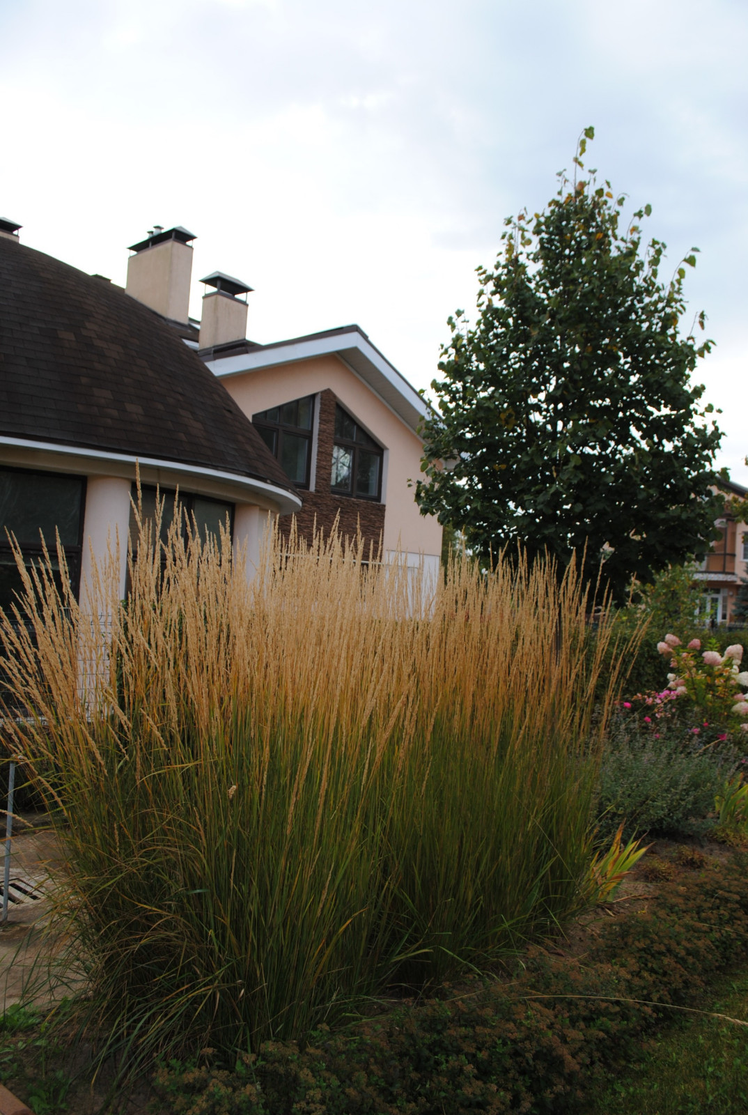 КП Зеленый мыс