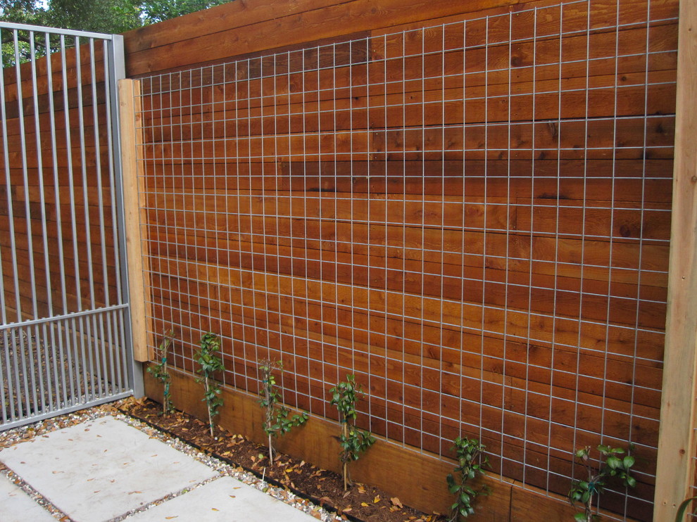 This is an example of a mid-sized contemporary side yard partial sun garden in Houston with a vertical garden and gravel.