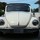 monica_beauchamp74