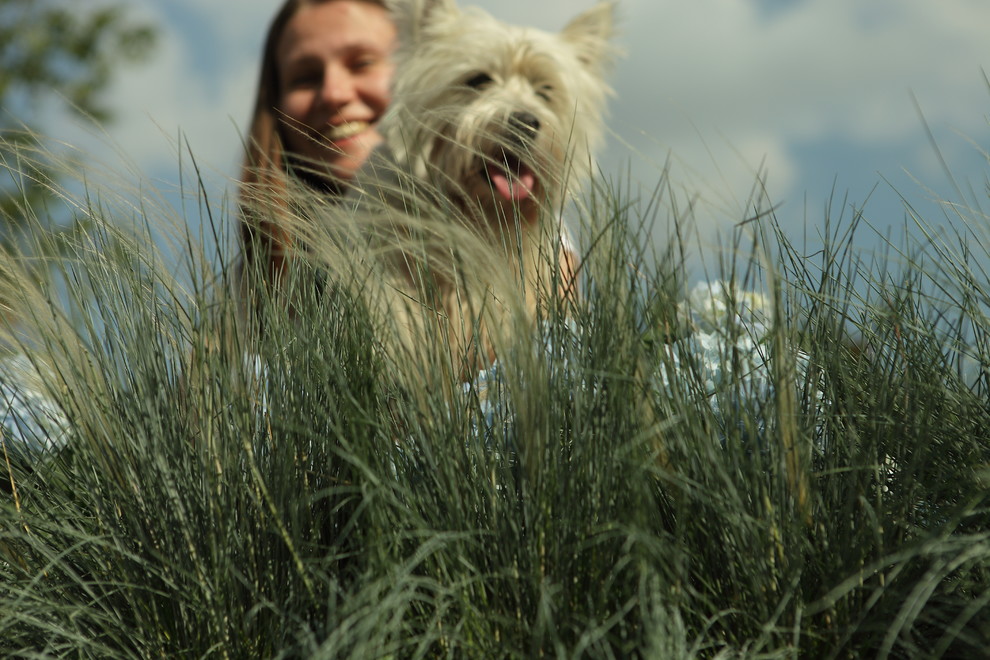 Балкон в экостиле