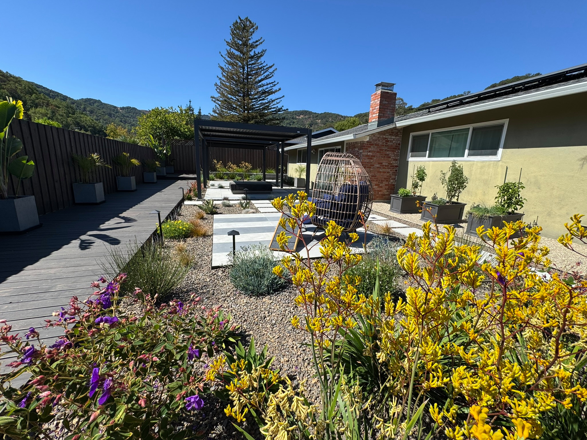 Recently Installed - Contemporary Backyard Remodel