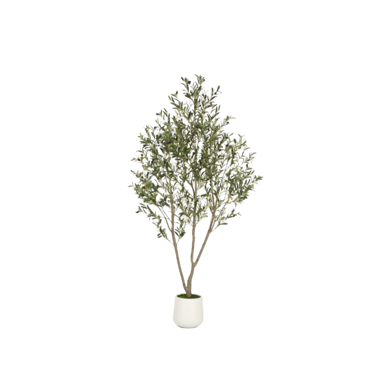 Retailer: Amazon | VIVATREES Olive Trees Artificial Indoor, 7FT Tall Faux Olive Tree with White Tall Planter