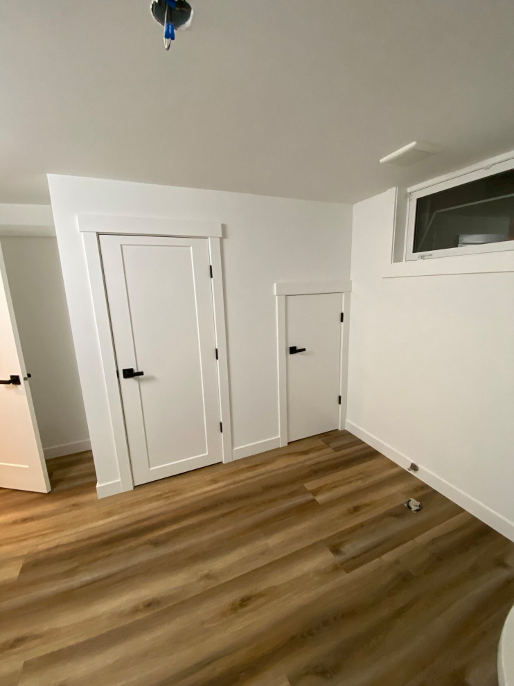 Basement Development