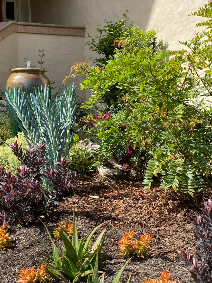 Inspiration for a small mediterranean drought-tolerant and partial sun front yard gravel landscaping in San Diego.
