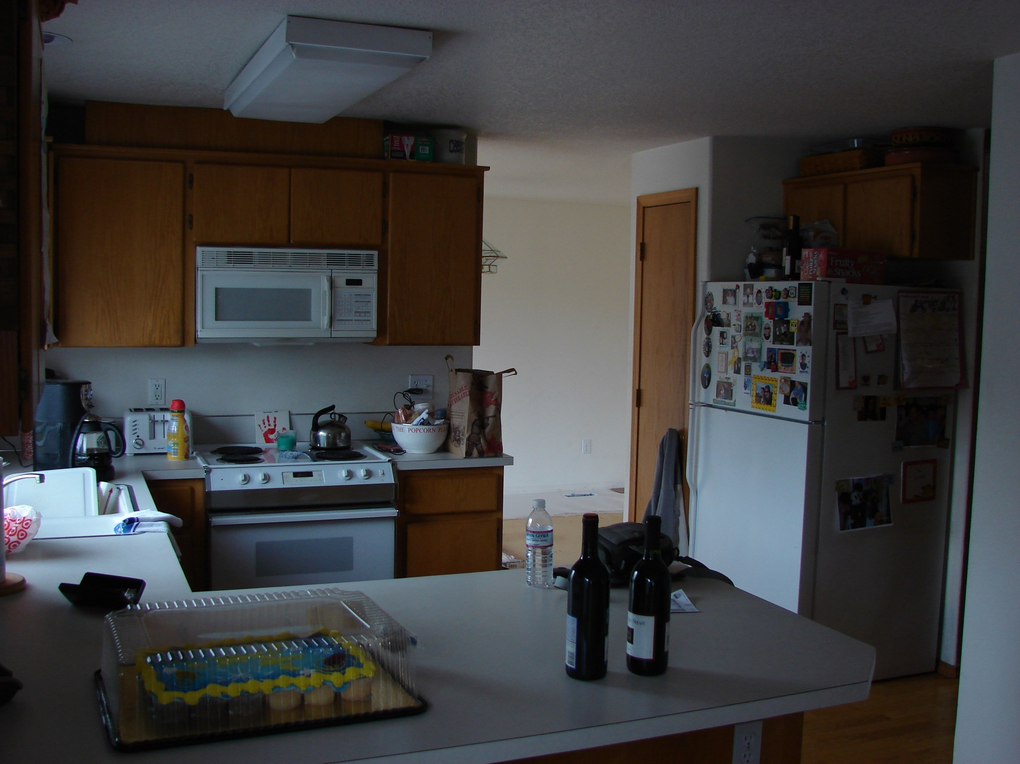 Kitchen Remodel