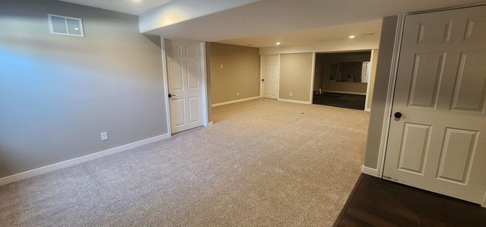 Longmont basement