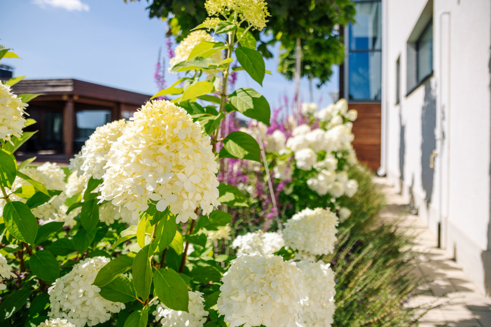Ландшафтный дизайн под ключ