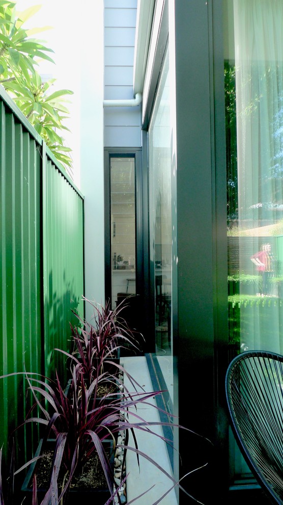 This is an example of a mid-sized contemporary backyard shaded garden for summer in Sydney.