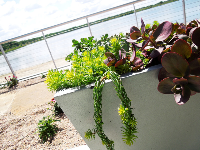 Backyard Beach contemporaneo-jardin
