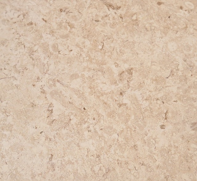 Shell Stone Shellstone Tiles, Honed Finish Traditional Wall And