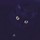 Francey Jesson's profile image