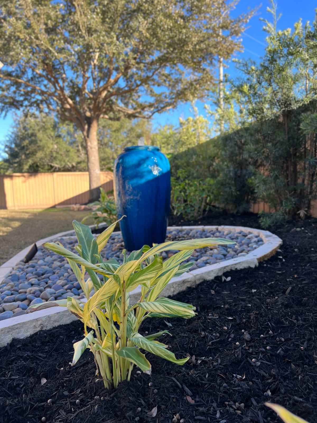 Putting Green, Backyard Paradise and Front yard Makeover in Fulshear!