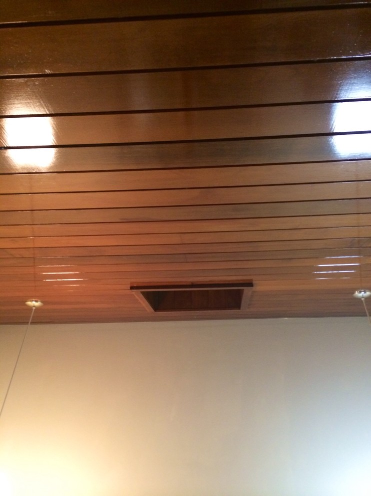 Palm Leafed Fan (???) for Atrium Re-do
