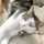 becky_fisher27