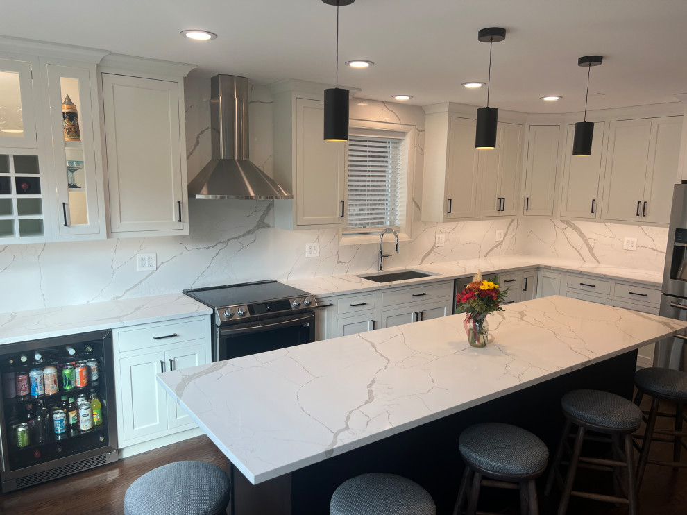 Chicago Kitchen/Dining Renovation