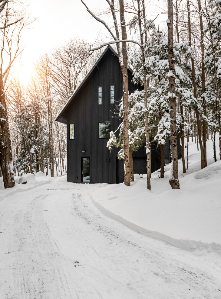 Inspiration for a scandinavian home design remodel in Toronto