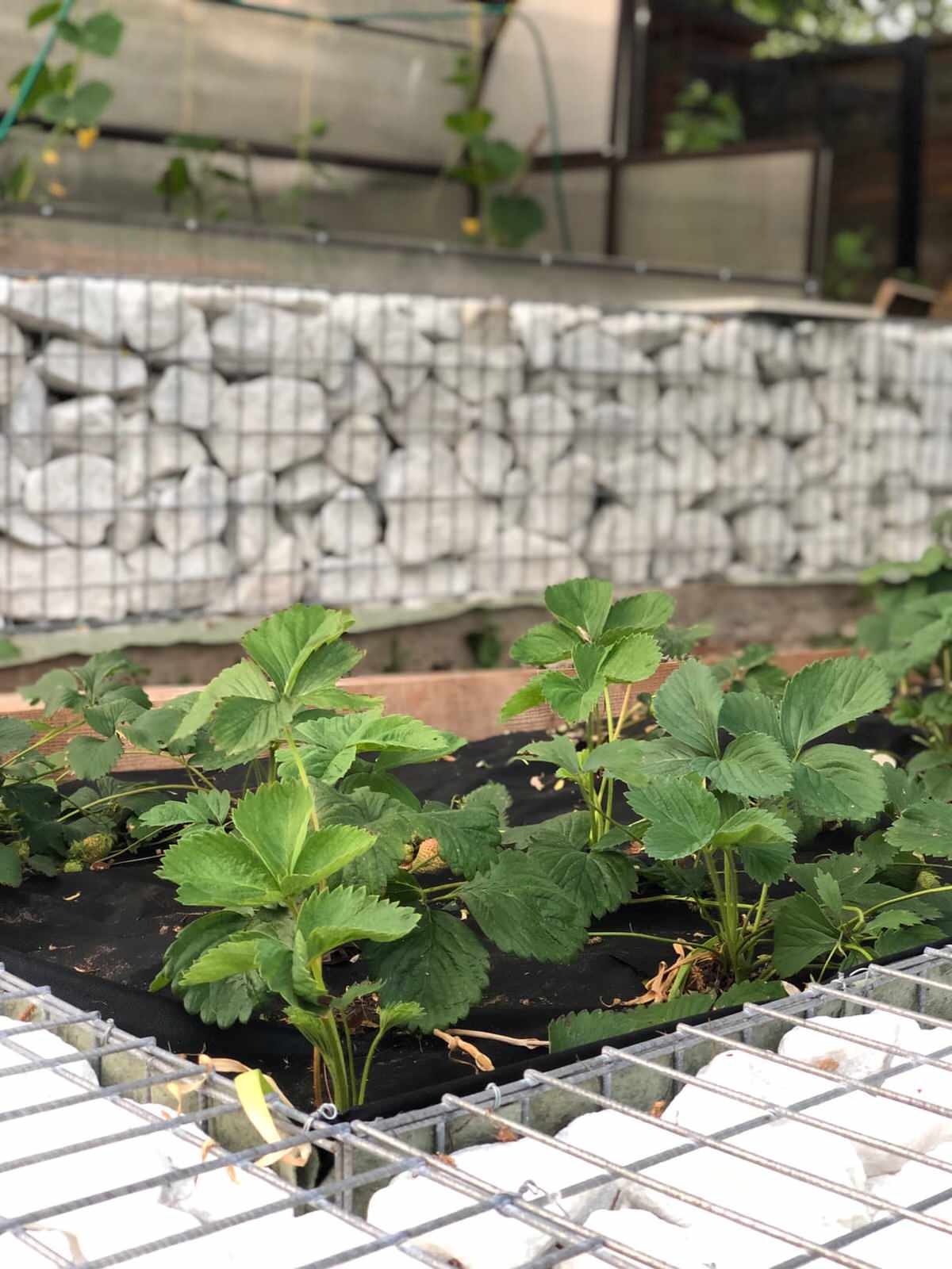 Проект участка с перепадами высот