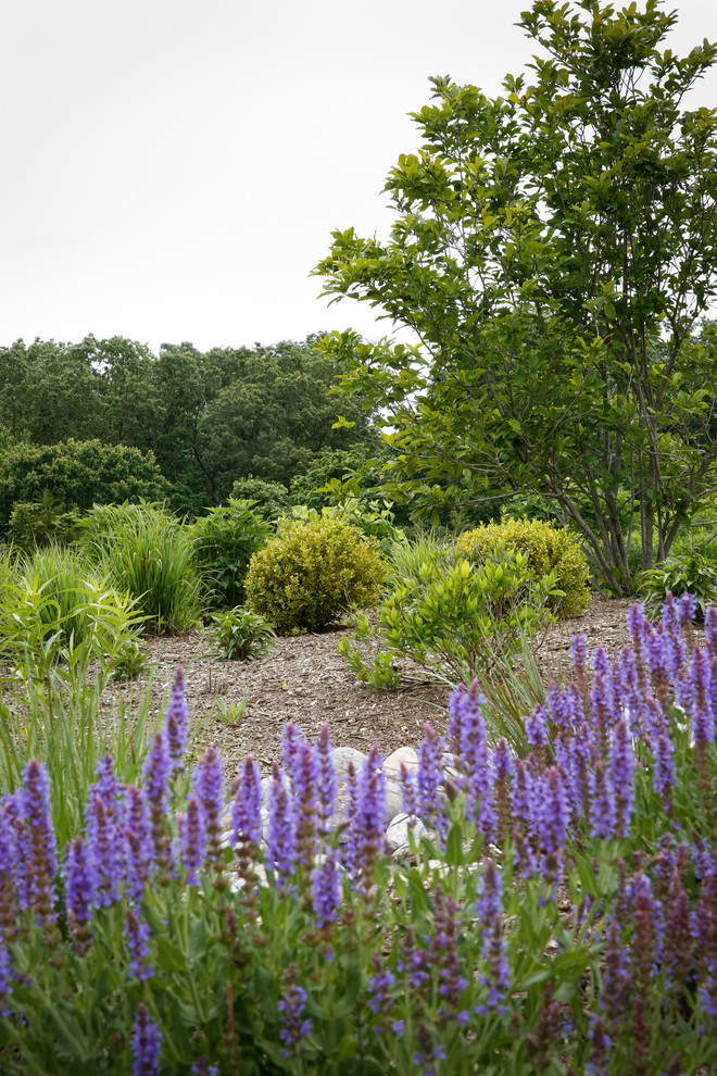 Design ideas for a mid-sized transitional full sun backyard mulch landscaping in DC Metro for spring.