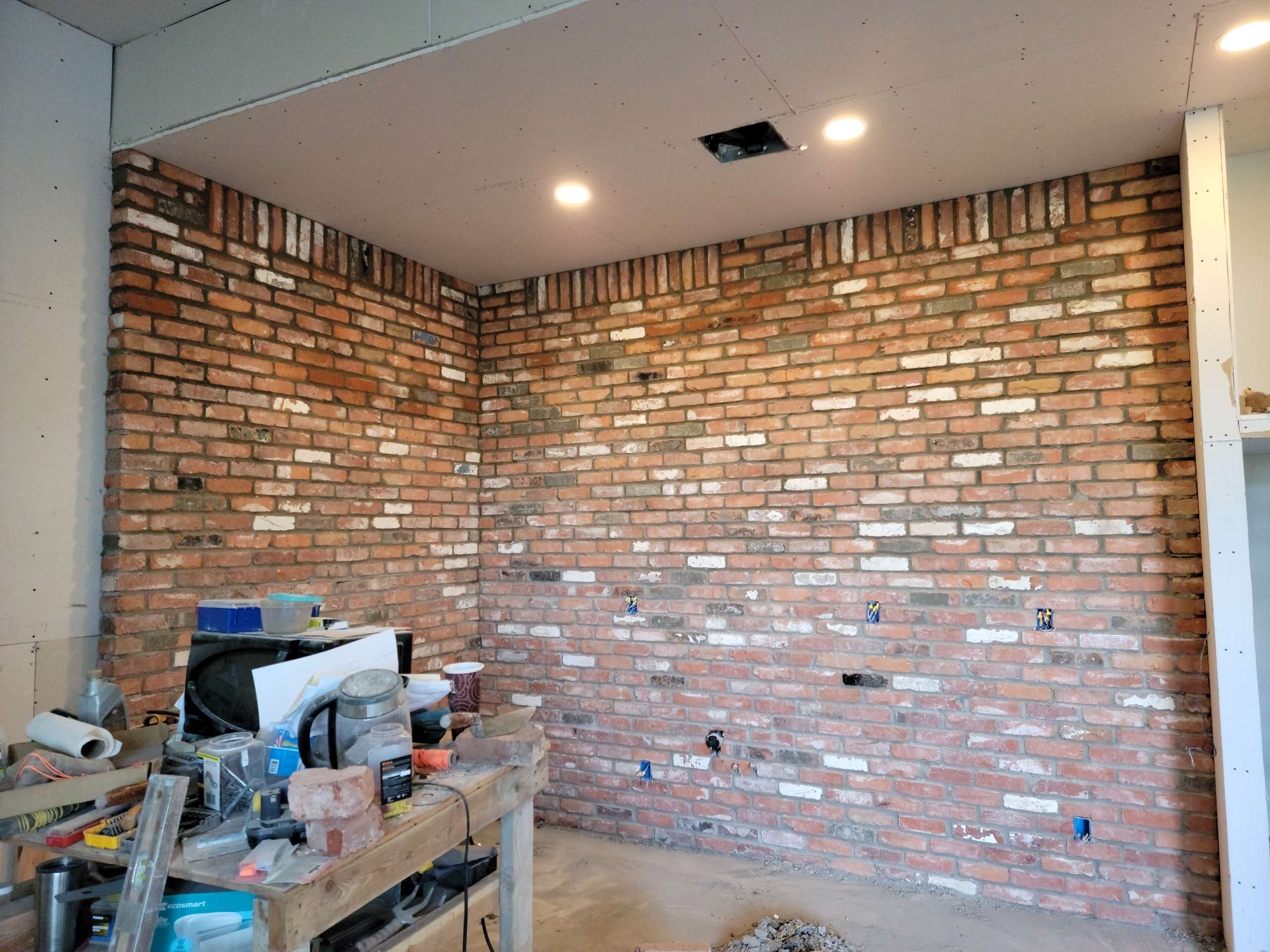 Basement Transformation (In Progress)