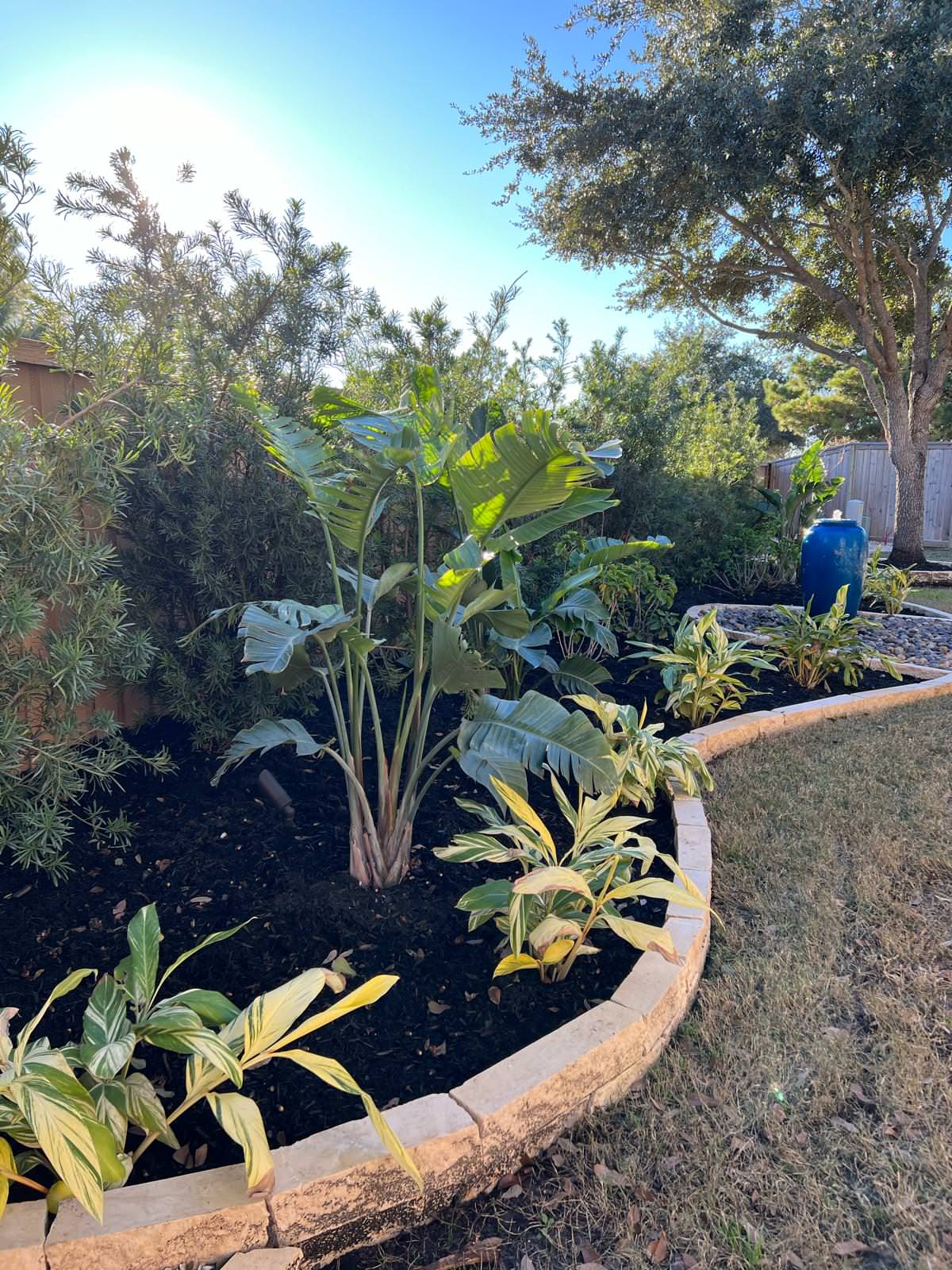 Putting Green, Backyard Paradise and Front yard Makeover in Fulshear!
