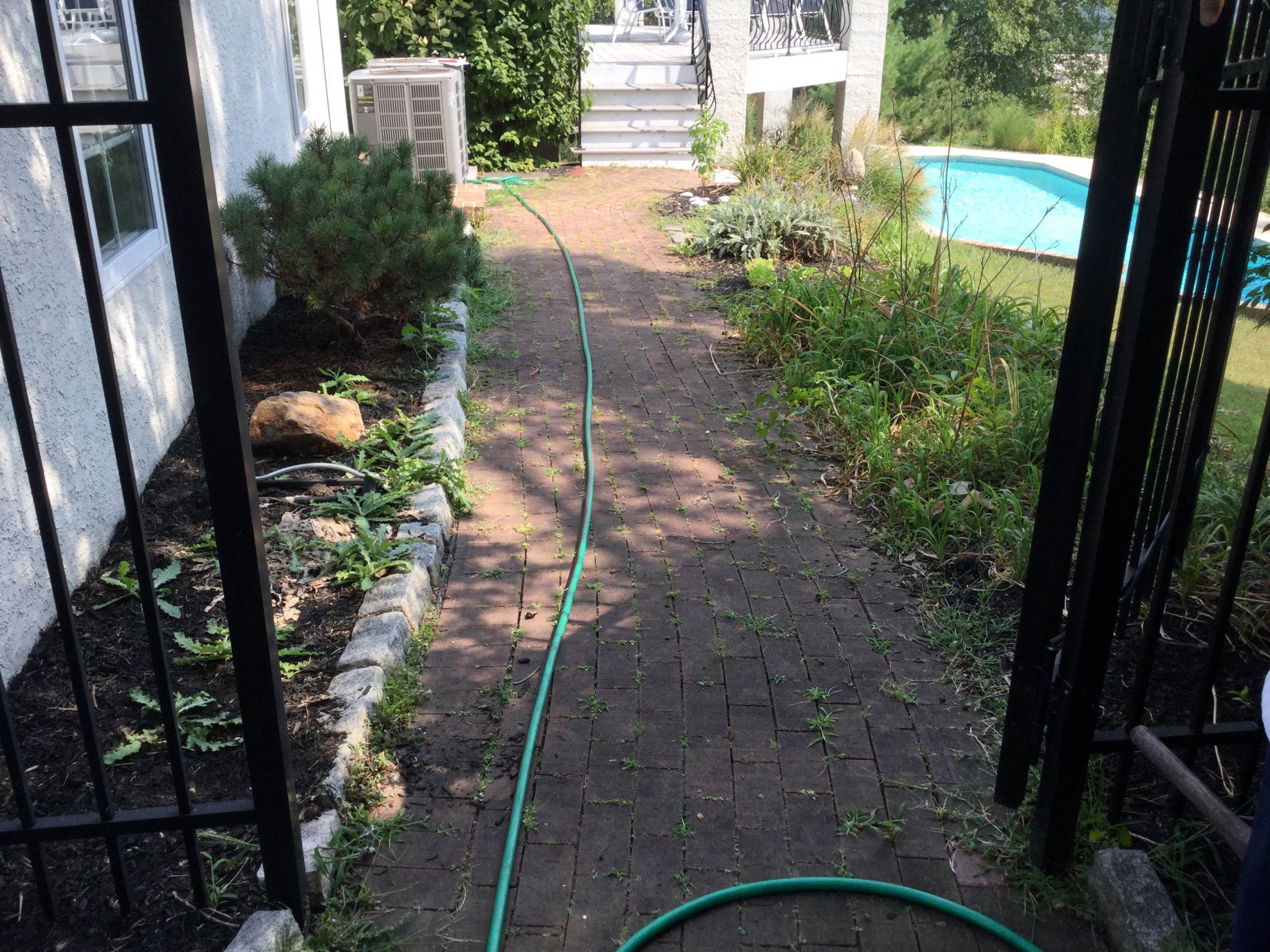 Paver Maintenance- Before