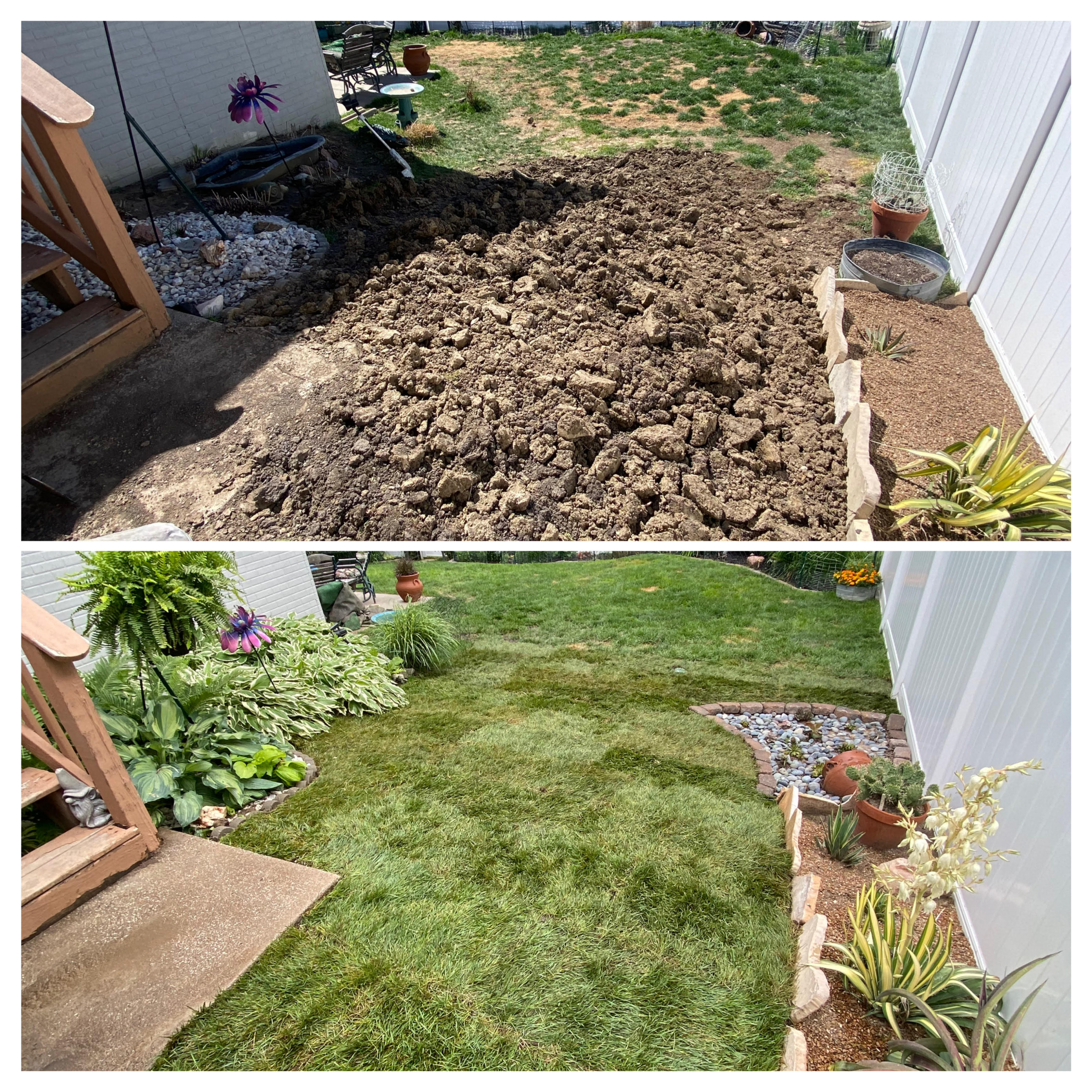 Drainage & RTF Fescue Sod Installation