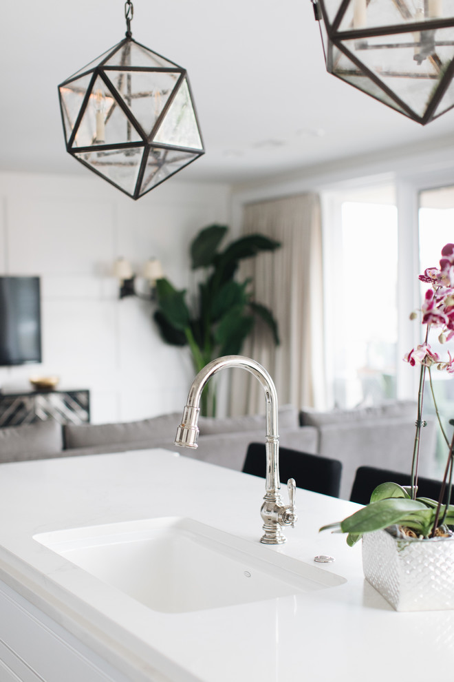 Inspiration for a transitional home design remodel in Chicago