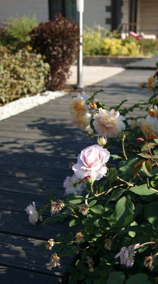 Сад "Европейская сдержанность"