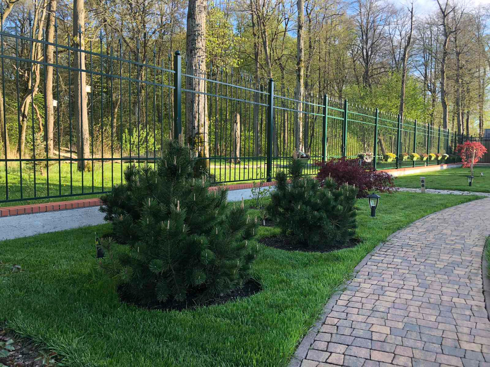 Озеленение территории г. Гурьевск, Калининградская область