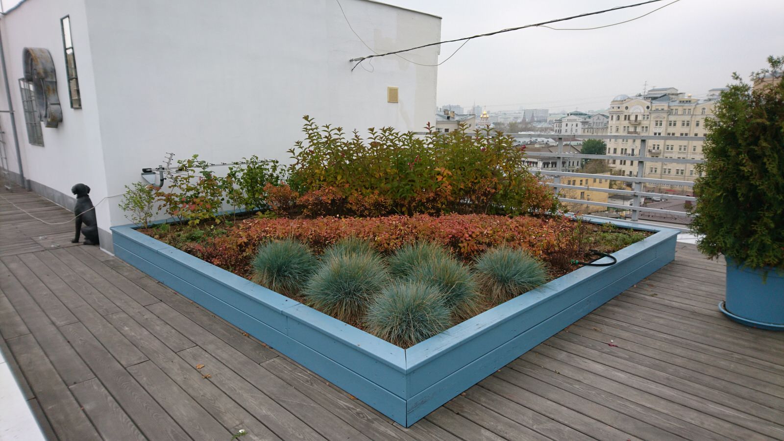 Зеленые кровли. Green roof