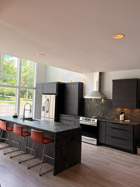 David & Steven Kitchen Remodel