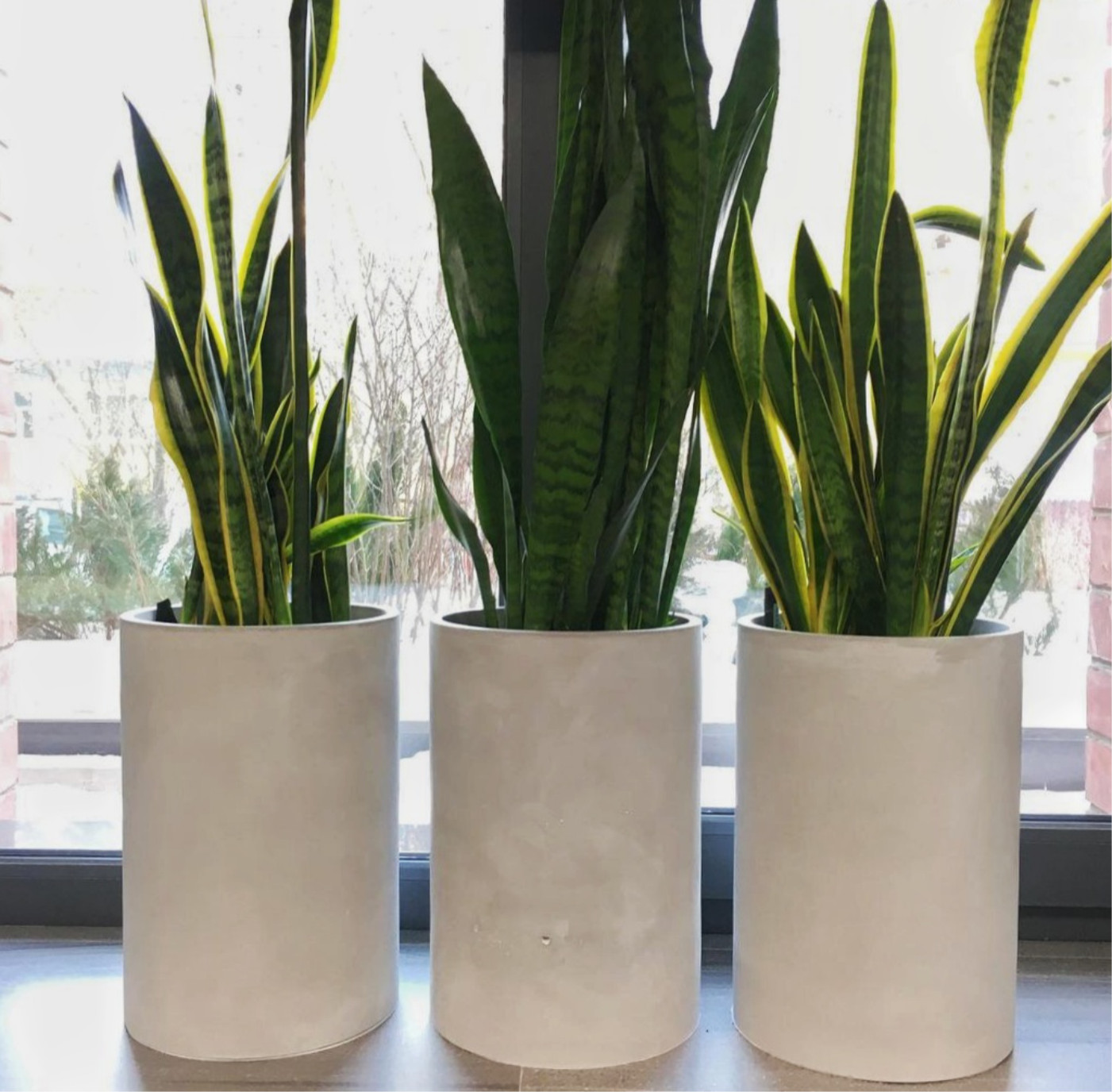 Бетонные кашпо