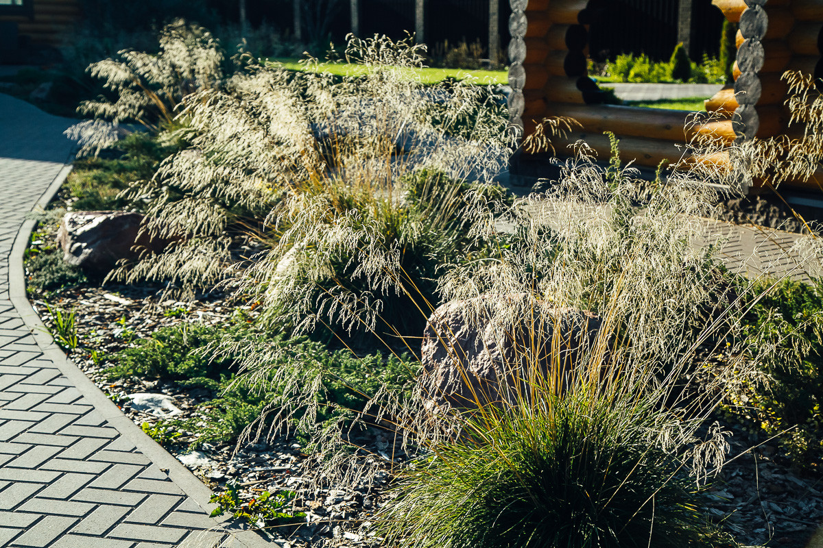 Русские Забавы