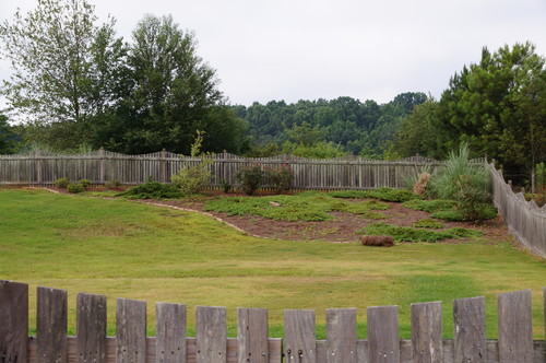 Landscaping Design Ideas for a Sloped Area in Backyard