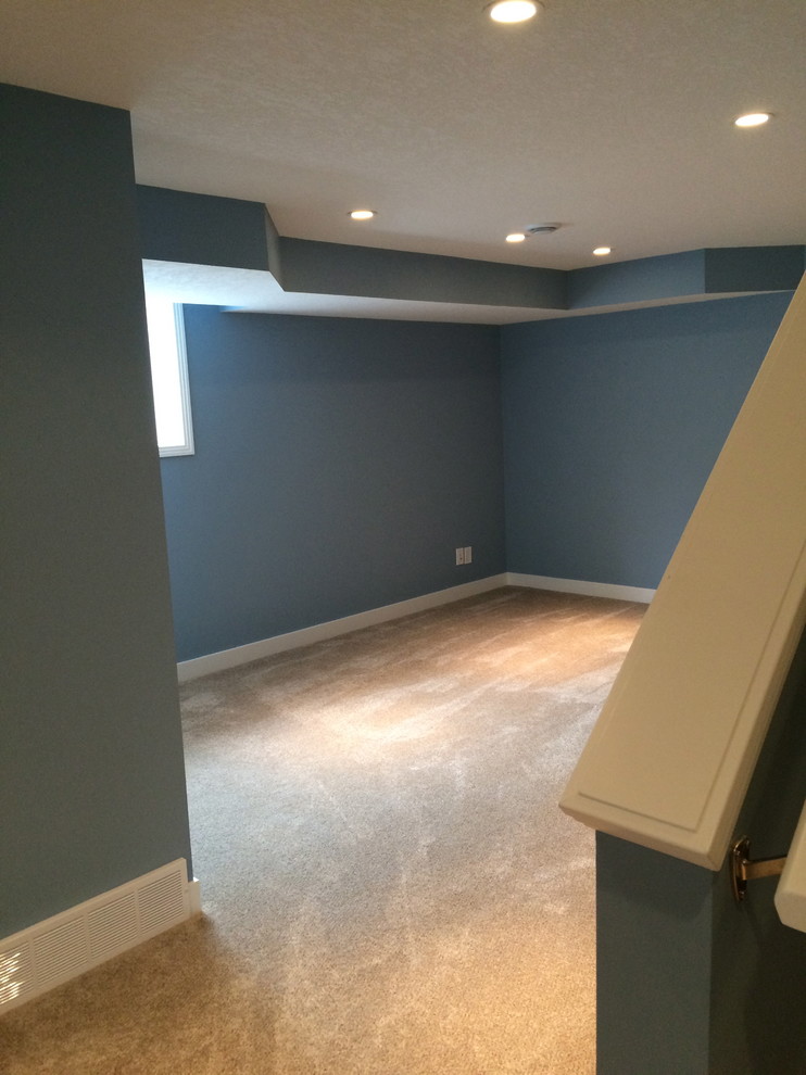 Mid-sized transitional look-out carpeted and brown floor basement photo in Calgary with gray walls and no fireplace