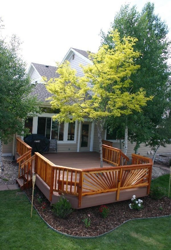 Deck - transitional deck idea in Denver