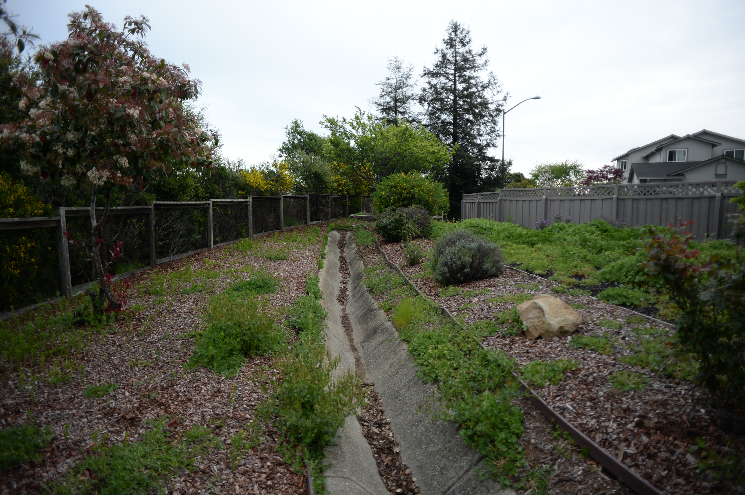 Lew Residence - Oakland Hills - In progress
